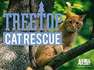 Treetop Cat Rescue
