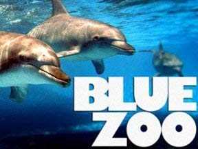 Blue Zoo