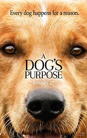 A Dogs Purpose - Movie