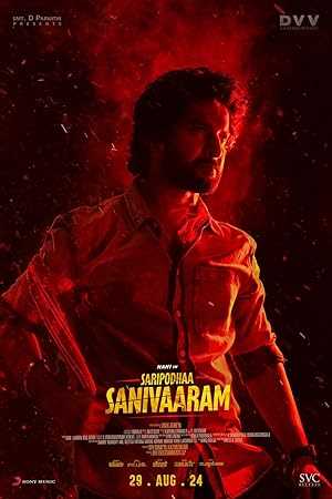 Saripodhaa Sanivaaram - netflix