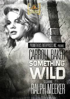 Something Wild - Movie