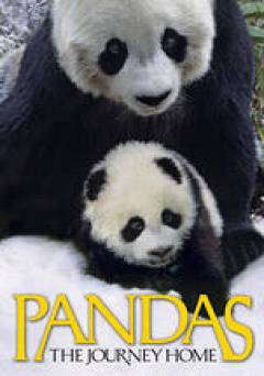 Pandas: The Journey Home