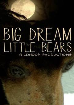 Big Dream Little Bears - Movie