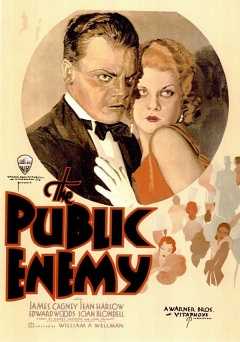 The Public Enemy